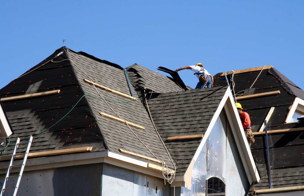 roofing roofing